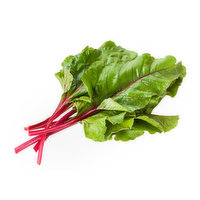 Organic Chard Red - 1.25 Pound